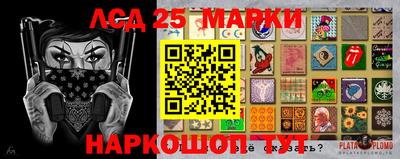 соль ск Сланцы
