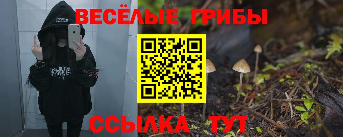 Галлюциногенные грибы MAGIC MUSHROOMS Саратов